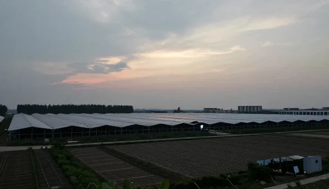 设施维护服务中应急处理如何提升响应效率?